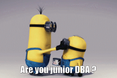 Are You Junior DBA